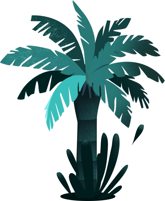 palm