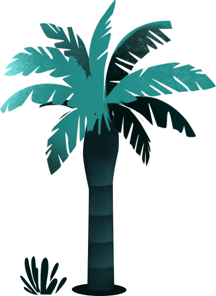 palm2